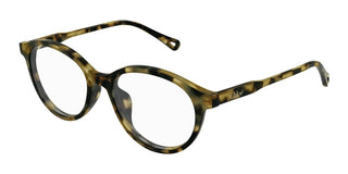 Chloé CH0316OA women Havana Round Eyeglasses