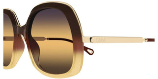 Chloé CH0327S women Brown Oversize Sunglasses