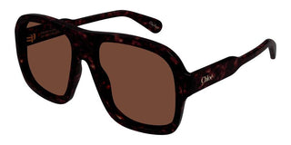 Chloé CH0331S women Havana Pilot Sunglasses