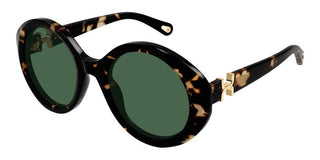 Chloé CH0332S women Havana Round Sunglasses