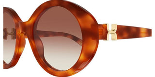 Chloé CH0332S women Havana Round Sunglasses