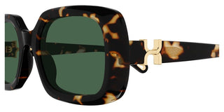 Chloé CH0333S women Havana Rectangle Sunglasses