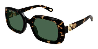 Chloé CH0333S women Havana Rectangle Sunglasses