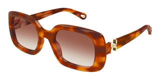 Chloé CH0333S women Havana Rectangle Sunglasses