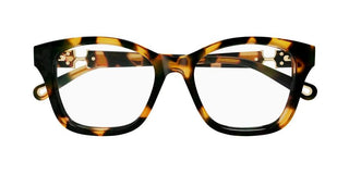 Chloé CH0334O women Havana Cat Eye Eyeglasses