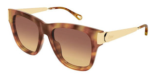 Chloé CH0349S women 0 Cat Eye Sunglasses