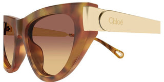 Chloé Ch0350s Women Havana Cat Eye Sunglasses