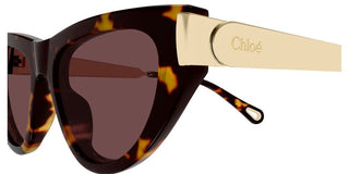 Chloé CH0350S women Havana Cat Eye Sunglasses