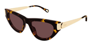 Chloé CH0350S women Havana Cat Eye Sunglasses