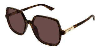 Chloé Ch0362s Women Havana Geometric Sunglasses