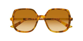 Chloé CH0362S women Havana Geometric Sunglasses