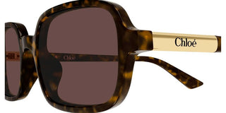 Chloé Ch0363s Women Havana Rectangle Sunglasses