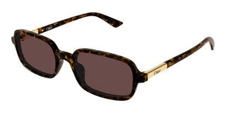 Chloé Ch0363s Women Havana Rectangle Sunglasses