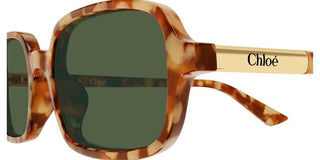 Chloé Ch0363s Women Havana Rectangle Sunglasses