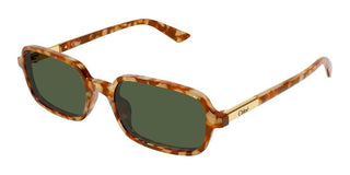 Chloé Ch0363s Women Havana Rectangle Sunglasses