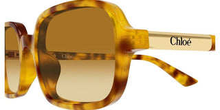 Chloé CH0363S women Havana Rectangle Sunglasses