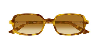 Chloé CH0363S women Havana Rectangle Sunglasses