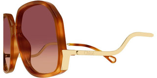 Chloé Ch0404s Women Havana Geometric Sunglasses