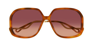 Chloé Ch0404s Women Havana Geometric Sunglasses