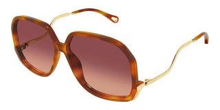Chloé Ch0404s Women Havana Geometric Sunglasses