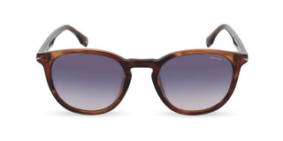 Police Champ 13 Splq82 Unisex Havana Pantos Sunglasses