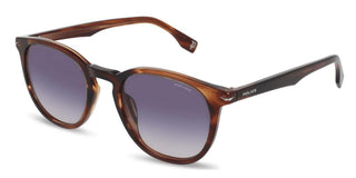 Police Champ 13 Splq82 Unisex Havana Pantos Sunglasses