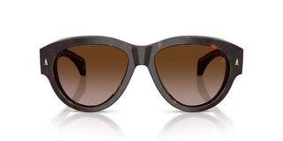 Moncler Chicane Me6016u Unisex Havana Oval Sunglasses
