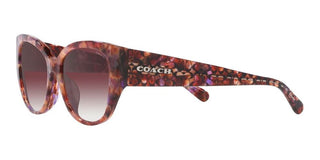 Coach CH 563 HC 8362U women Brown Geometric Sunglasses