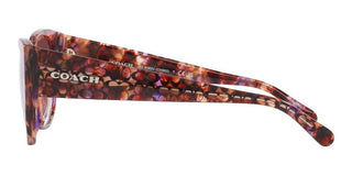 Coach CH 563 HC 8362U women Brown Geometric Sunglasses