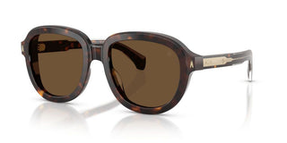 Moncler Cirsee Me6007u Unisex Havana Round Sunglasses