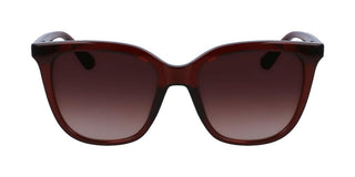 Calvin Klein Ck23506s Women Brown Butterfly Sunglasses