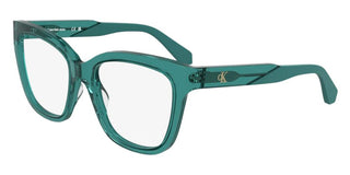 Calvin Klein Jeans Ckj25616 Women  Butterfly Eyeglasses