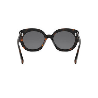 CELINE CELINE 3 Dots CL40295I women Havana Butterfly Sunglasses