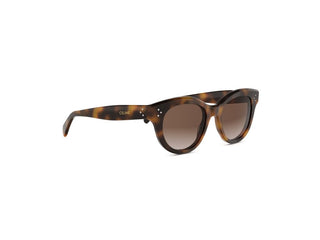 CELINE 3 Dots CL40332I women Havana Round Sunglasses
