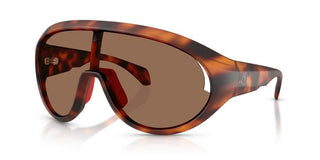 Moncler Contrast Me8010 Unisex Havana Shield Sunglasses