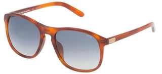 Lozza COOPER SL1845L unisex Havana Geometric Sunglasses