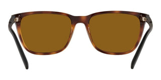 Arnette CORTEX AN 4291 men Havana Squared Sunglasses