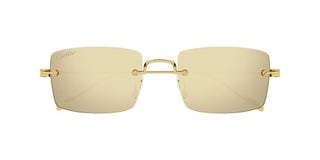 Cartier CT0367S men Gold Sunglasses