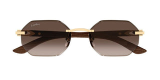 Cartier Signature C de Cartier CT0439S men Gold Geometric Sunglasses