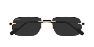 Cartier Signature C De Cartier Ct0498s Men Gold Rectangle Sunglasses