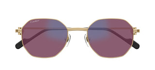 Cartier CT0500S unisex Gold Geometric Sunglasses