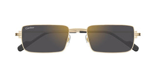 Cartier CT0501S unisex Gold Rectangle Sunglasses