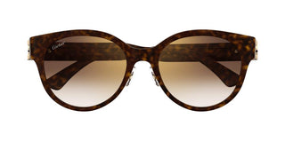 Cartier CT0510S women Havana Pantos Sunglasses