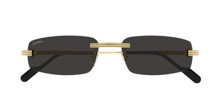 Cartier CT0535S men Gold Squared Sunglasses