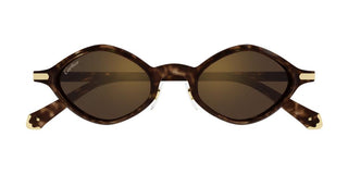 Cartier CT0540S unisex Havana Geometric Sunglasses