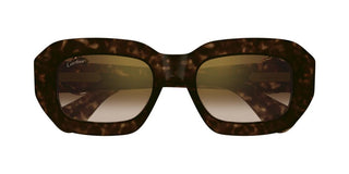 Cartier CT0546S women Havana Rectangle Sunglasses
