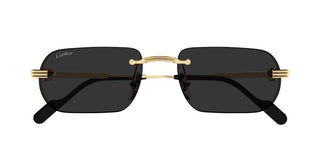 Cartier CT0577S unisex Gold Squared Sunglasses