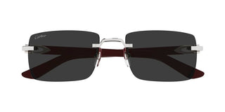 Cartier CT0579S unisex Silver Squared Sunglasses