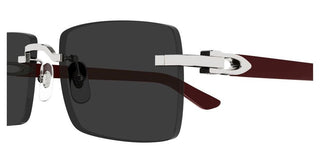 Cartier Ct0579s Unisex Silver Squared Sunglasses