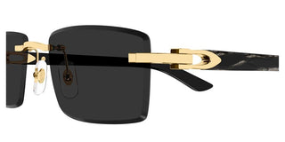 Cartier CT0582S men Gold Squared Sunglasses